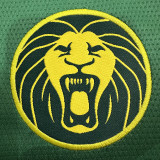 25/26 Cameroon Home Fans Soccer Jersey
