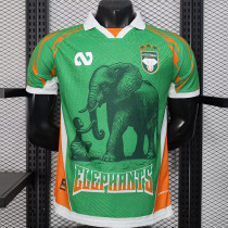 25/26 Ivory Coast Green Special Edition Player Version Soccer Jersey