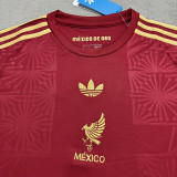 25/26 Mexico Concept Edition Maroon  Fans Soccer Jersey