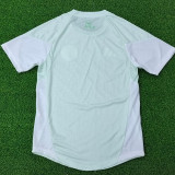 25-26 Algeria Light Green Special Edition Player Version Soccer Jersey#A38