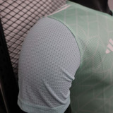 25-26 Algeria Stripe Light Green  Player Version Soccer Jersey