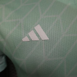 25-26 Algeria Stripe Light Green  Player Version Soccer Jersey