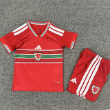 26/27 Wales Home Kids Soccer Jersey