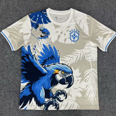 25-26 Brazil Eagle Special Edition  Fans Soccer Jersey