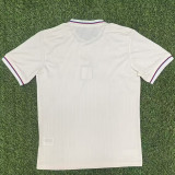25/26 Lyon 75 th Anniversary Edition White  Fans Soccer Jersey