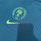25/26 Nigeria Away  Player Version Soccer Jersey