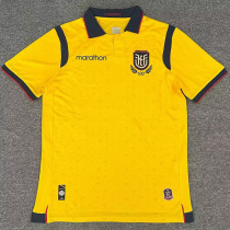 25-26 Ecuador Yellow Fans Soccer Jersey