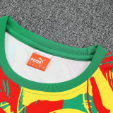 26-27 Senegal Green Training Shorts Suit