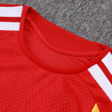 26/27 Germany Red Player Version Training Short Suit(球员版)