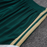 26-27 Italy Green Player Version Shorts Pants#D2603