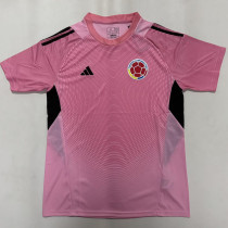 26-27 Colombia Goalkeeper Pink Fans Soccer Jersey