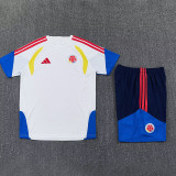 26/27 Colombia White Training Short Suit