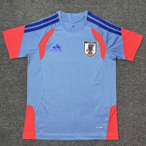 26/27 Japan Grey Training Shirts