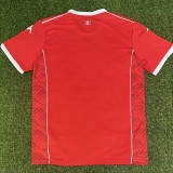 26/27 Egypt Special Edition Red Fans Soccer Jersey