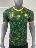 26/27 Cameroon Home Fans Soccer Jersey