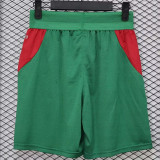 26-27 Morocco Green Player Version Shorts Pants