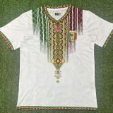 25/26 Mali Home Fans Soccer Jersey