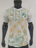 26-27 Ivory Coast Away Player Version Soccer Jersey