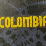 26-27 Colombia World Cup Commemorative Edition Grey Player Version Soccer Jersey