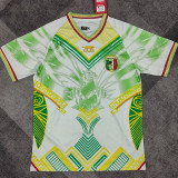 25/26 Mali Third Fans Soccer Jersey