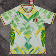 25/26 Mali Third Fans Soccer Jersey