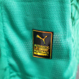 24/25 Senegal Away Player Version Soccer Jersey(Two star两星)