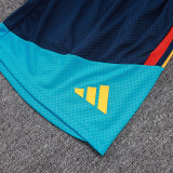 26/27 Spain Royal Blue Player Version Shorts Pants#D2603