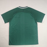 26/27 Palestine Dark Green Retro Soccer Jersey