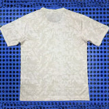 25/26 PSG Beige Training Shirts