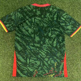26/27 Cameroon Home Fans Soccer Jersey