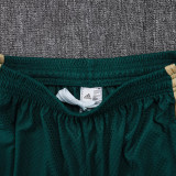 26-27 Italy Green Player Version Shorts Pants#D2603
