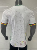 26/27 Cameroon Away Fans Soccer Jersey
