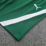 26/27 Ivory Coast Green Training Shorts Suit