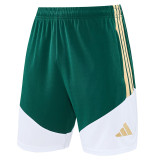 26-27 Italy Green Training Short Suit