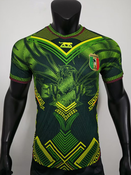 25/26 Mali Away Player Version Soccer Jersey
