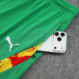 26-27 Senegal Green Training Shorts Suit