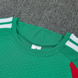 26/27 Algeria Green Training Shorts Suit