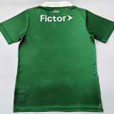 25/26 Palmeiras Yellow Special Edition Fans Soccer Jersey