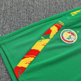 26-27 Senegal Green Training Shorts Suit