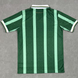 26/27 Aston Villa Special Edition Green Fans Soccer Jersey