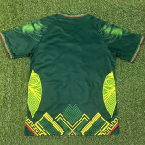 25/26 Mali Away Fans Soccer Jersey