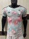 26/27 Belgium Away Player Version Soccer Jersey