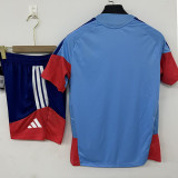 26/27Japan Grey Training Short Suit