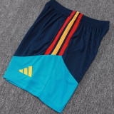 26/27 Spain Royal Blue Player Version Shorts Pants#D2603