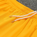 26/27 Ghana Yellow Training Shorts Suit