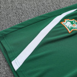 26/27 Ivory Coast Green Training Shorts Suit