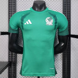 25/26 Mexico Goalkeeper Green Player Version Soccer Jersey