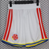 26-27 Colombia Ｗhite Player Version Shorts Pants球员版