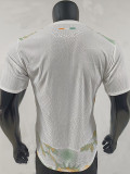 26-27 Ivory Coast Away Player Version Soccer Jersey