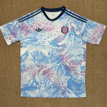 25/26 Costa Rica Away Fans Soccer Jersey